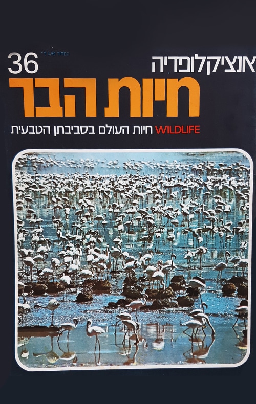 אנציקלופדיה חיות הבר - גליון 36