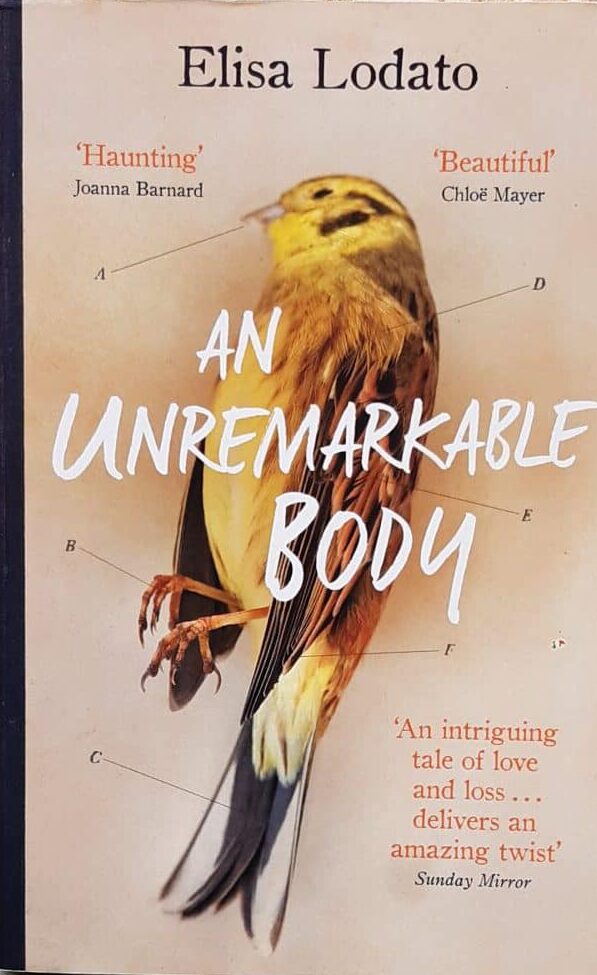 An unremarkable body