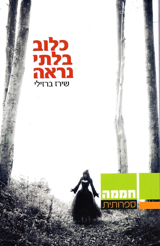 כלוב בלתי נראה