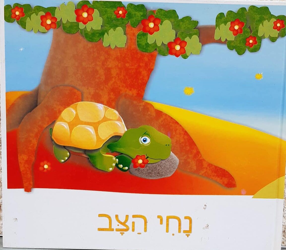 נחי הצב