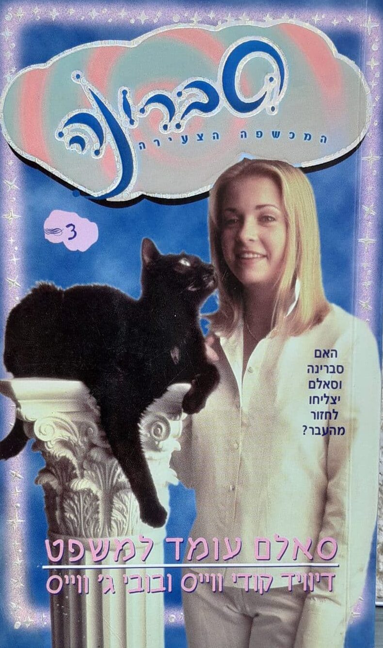 סברינה המכשפה הצעירה - סאלם עומד למשפט, ספר 3