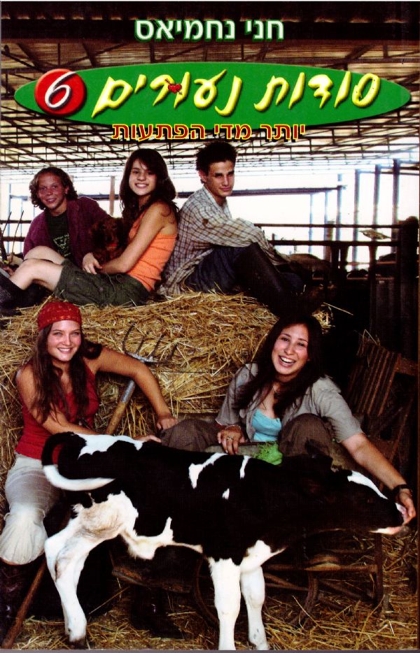 יותר מדי הפתעות - סודות נעורים, ספר 6