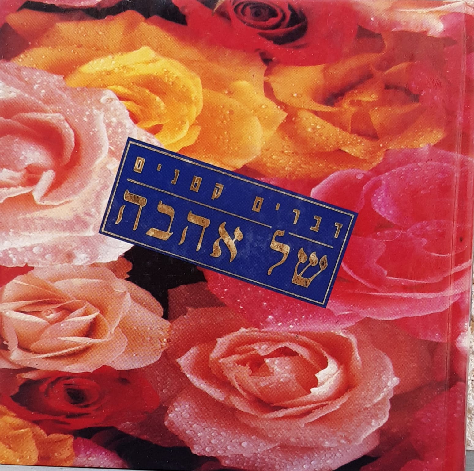 דברים קטנים של אהבה