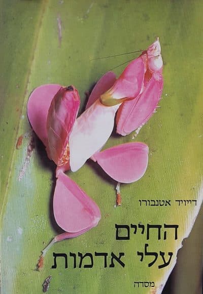 החיים עלי אדמות