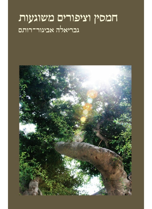 חמסין וציפורים משוגעות