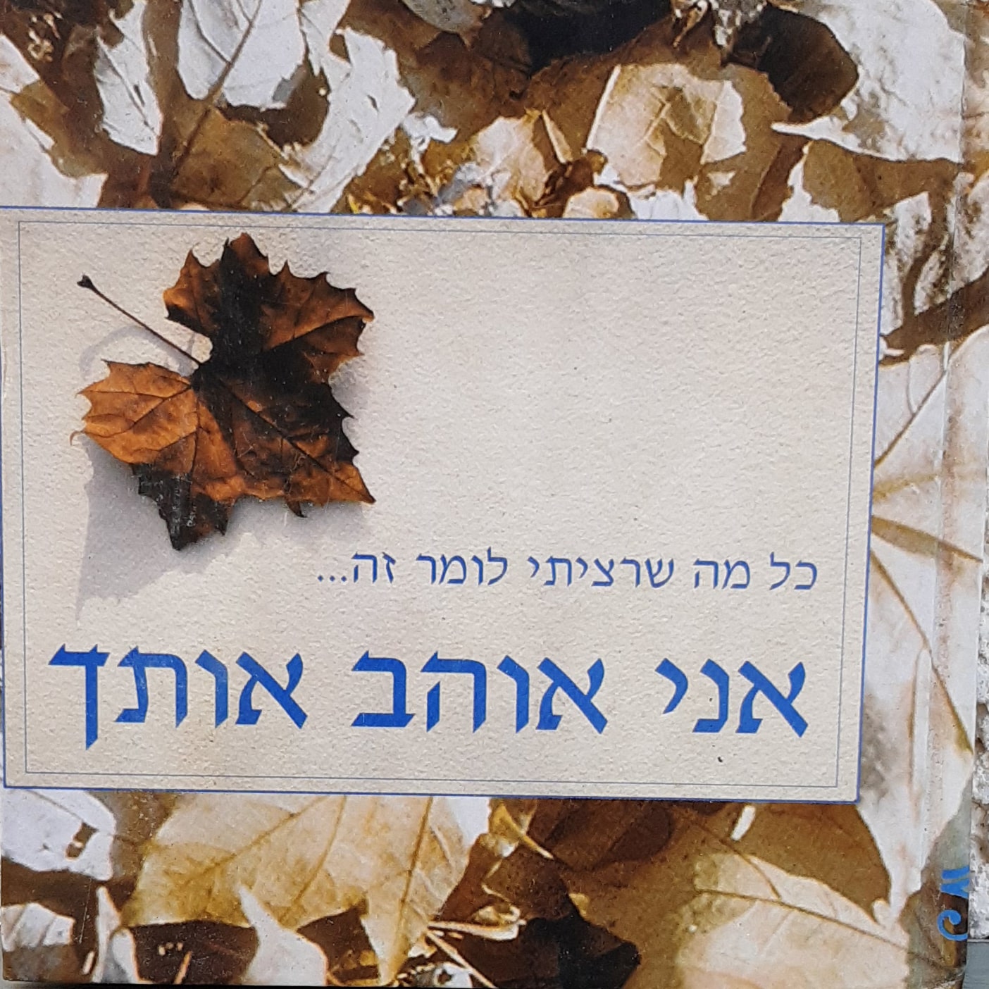 כל מה שרציתי לומר זה... אני אוהב אותך