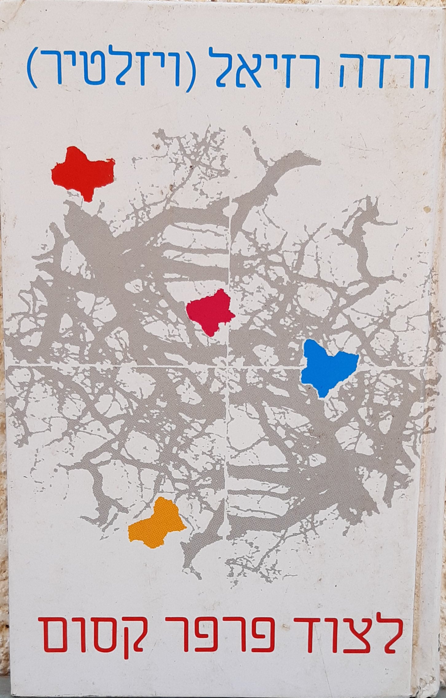 לצוד פרפר קסום