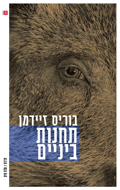 תחנות ביניים