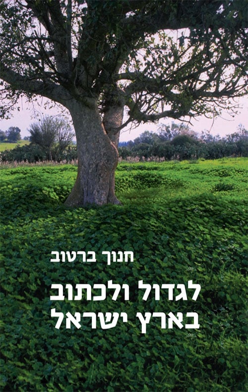 לגדול ולכתוב בארץ ישראל
