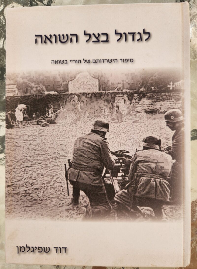 לגדול בצל השואה סיפור הישרדותם של הוריי בשואה_דוד שפיגלמן