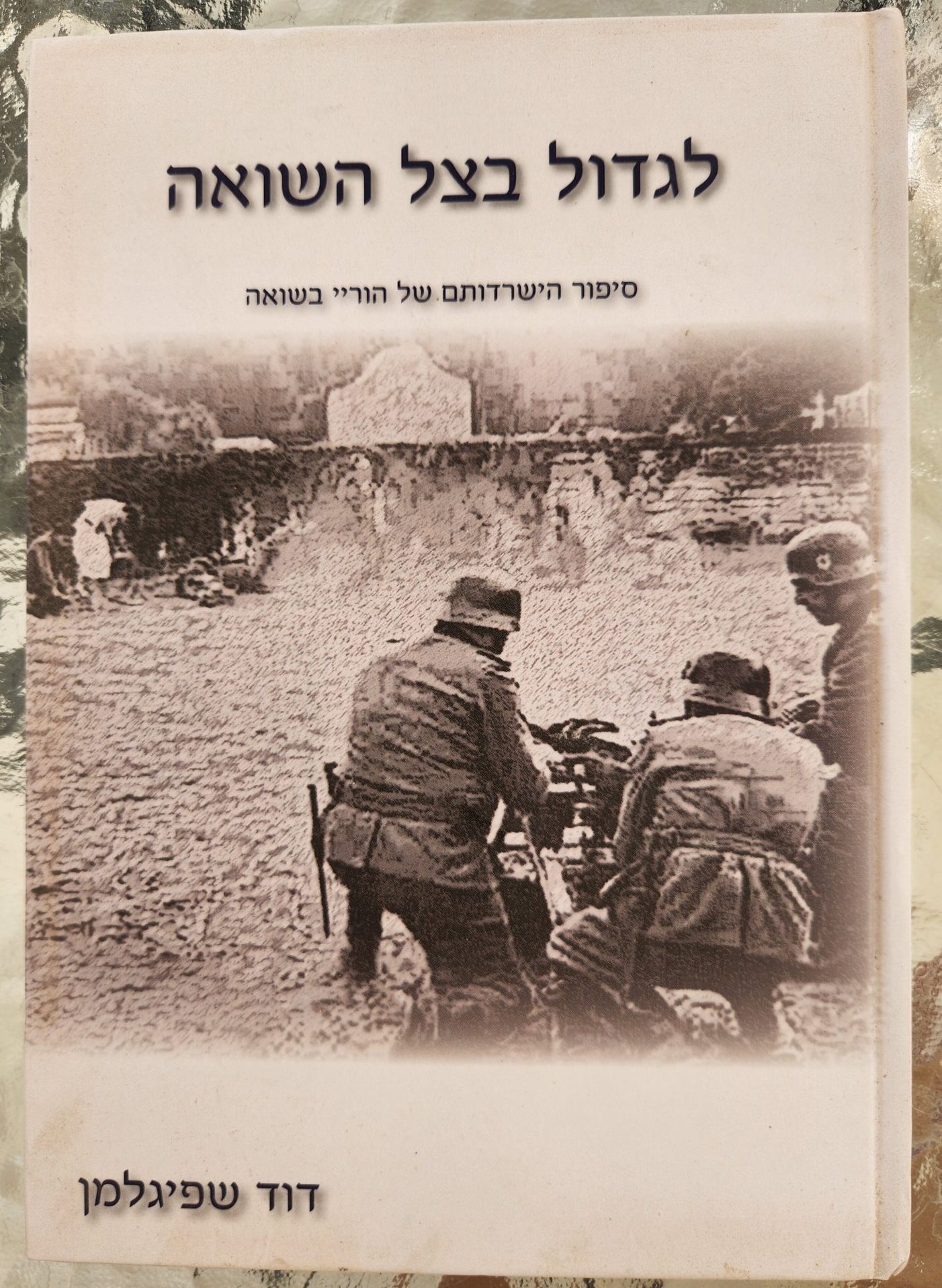 לגדול בצל השואה סיפור הישרדותם של הוריי בשואה_דוד שפיגלמן