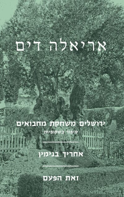 ירושלים משחקת מחבואים_אריאלה דים