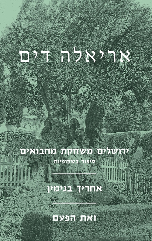 ירושלים משחקת מחבואים_אריאלה דים