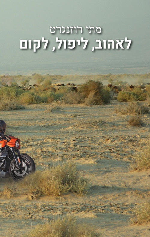 לאהוב, ליפול, לקום_מתי רוזנגרט