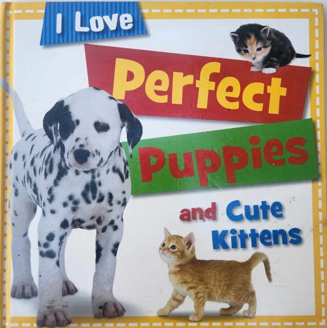 I love perfect puppies and cute Kittens