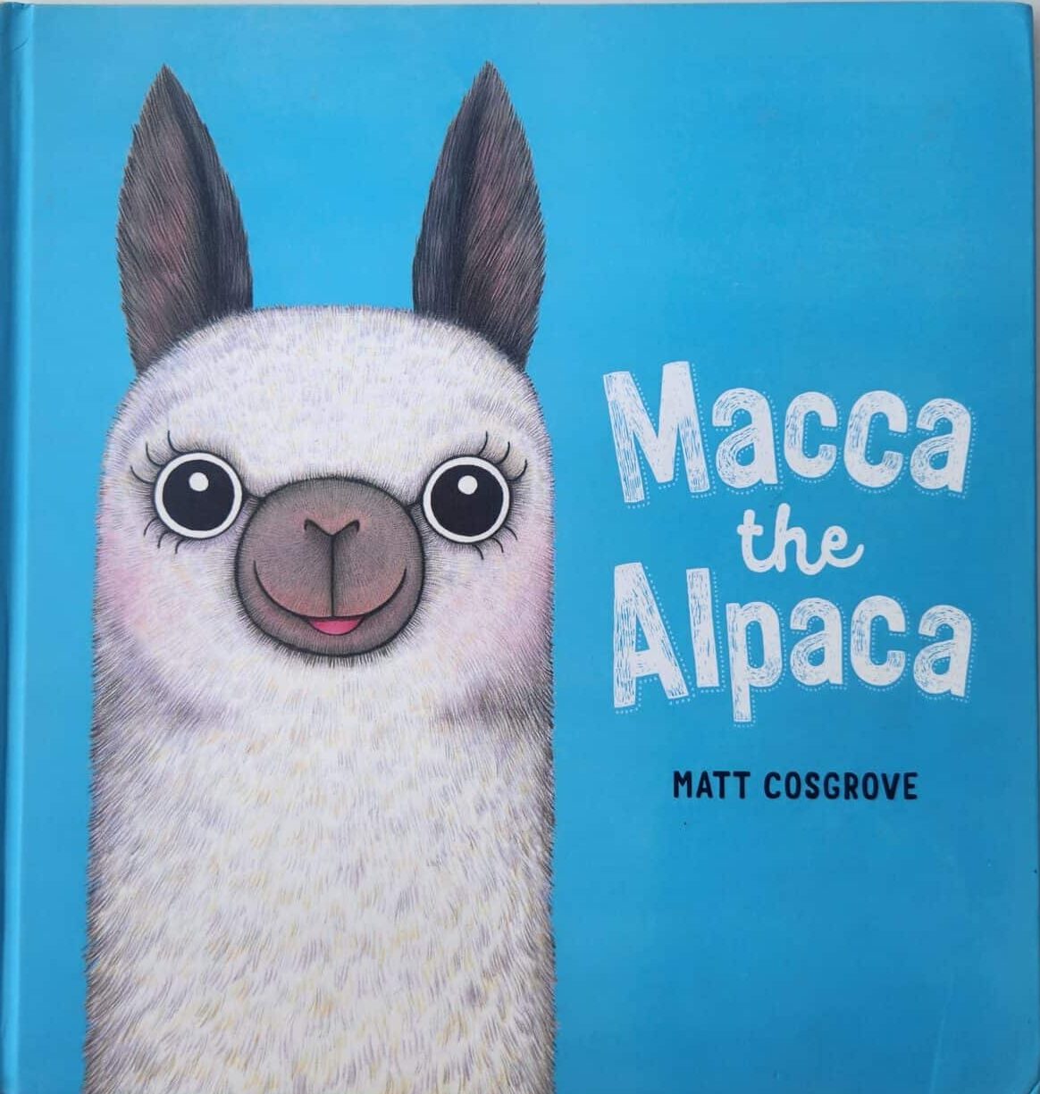 Macca the alpaca