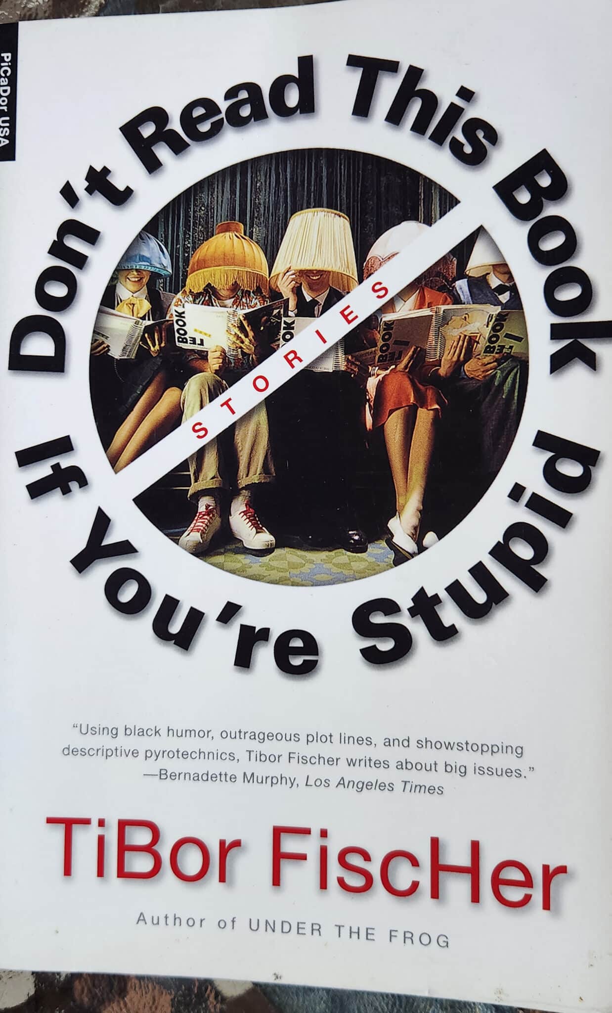 Don't read this book if you're stupid_Tibor Fischer