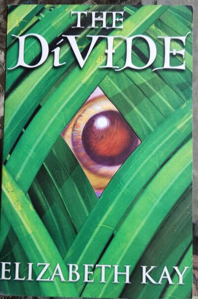 The Divide_Elizabeth Kay