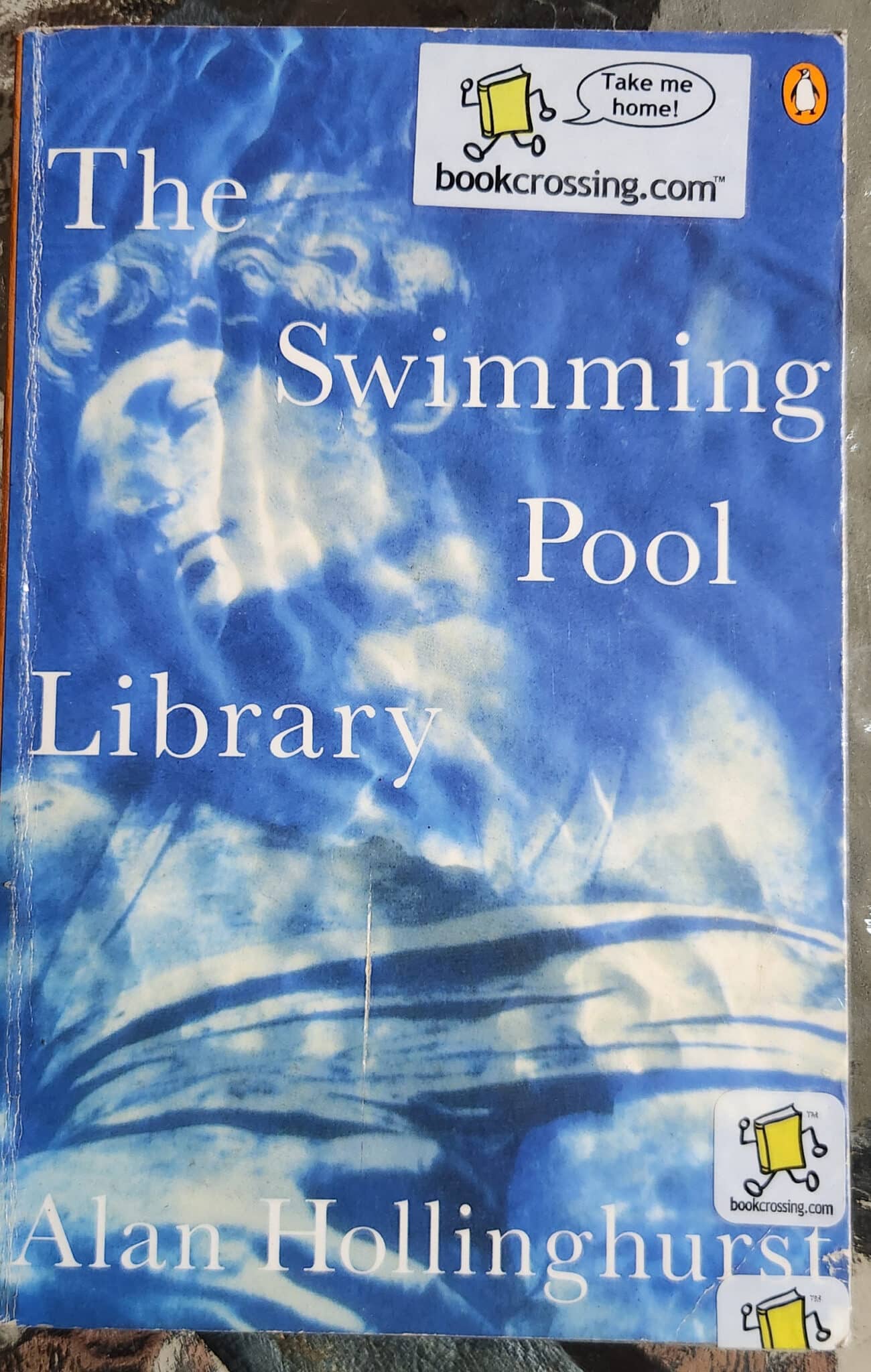 The swimming-pool library_Alan Hollinghurst