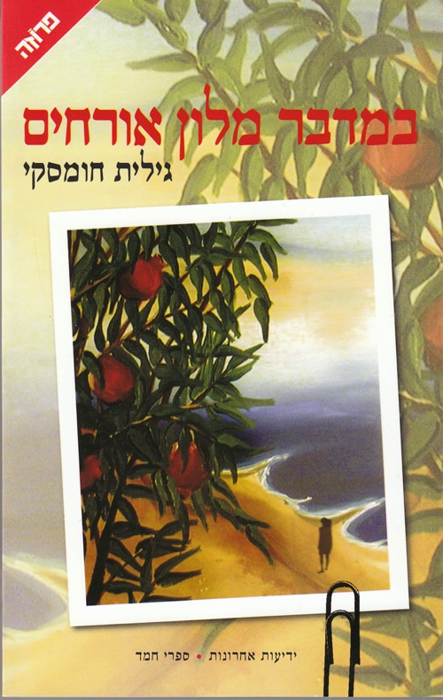 במדבר מלון אורחים_גילית חומסקי