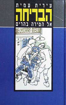 הבריחה אל הטירה בהרים_עירית עמית
