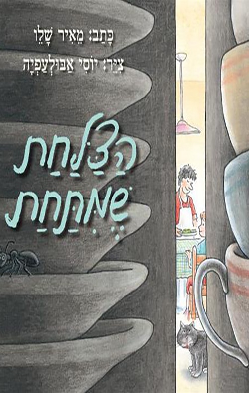 הצלחת שמתחת_מאיר שליו