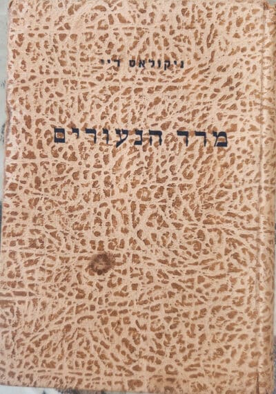 מרד הנעורים_ניקולאס ריי