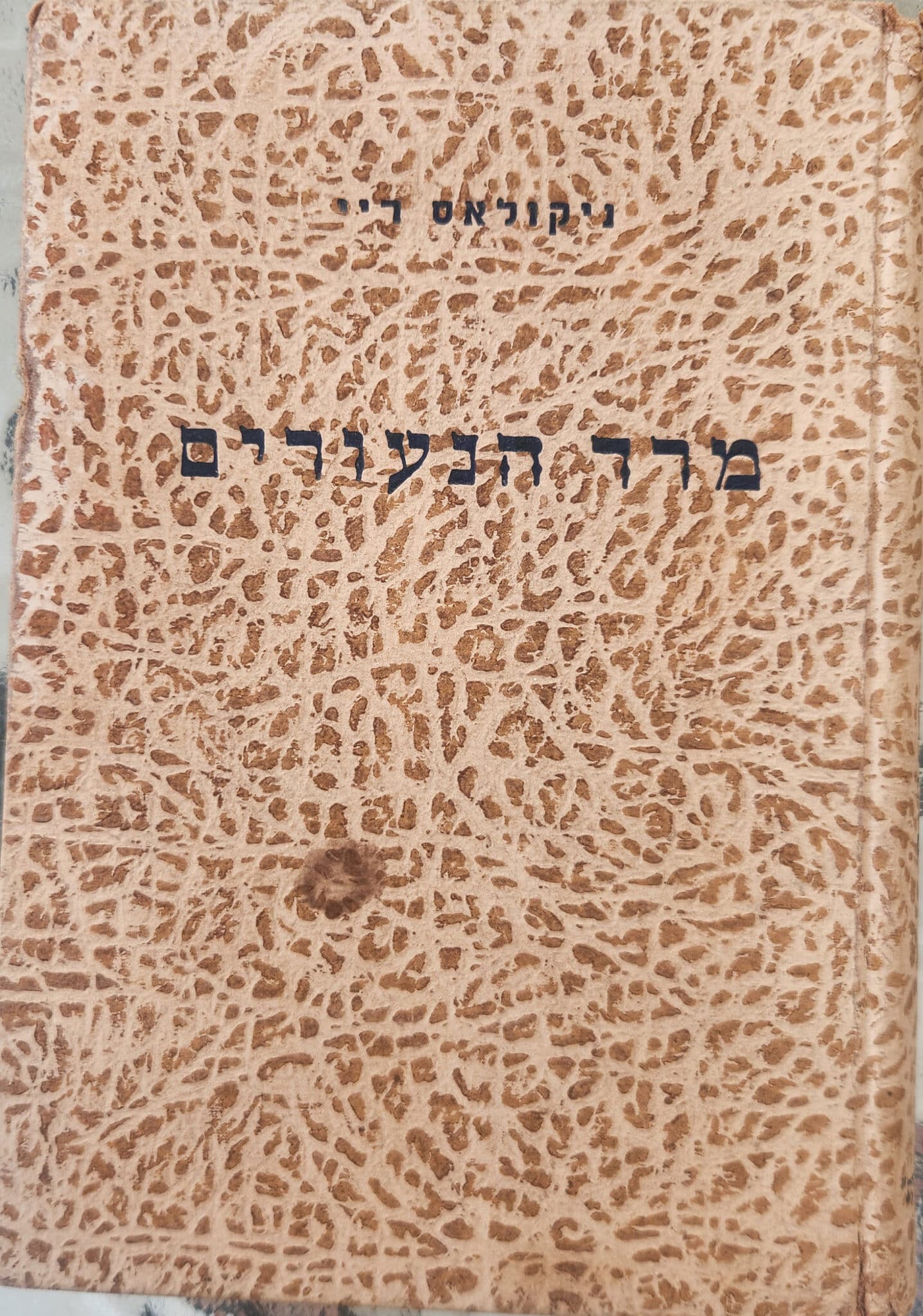 מרד הנעורים_ניקולאס ריי