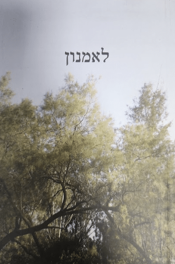 לאמנון - ממה שקיבל, ממה שנתן_מחברים שונים