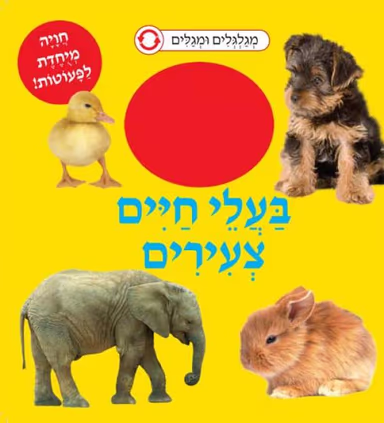 בעלי חיים צעירים - מגלגלים ומגלים_כללי