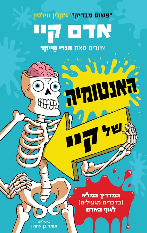 האנטומיה של קיי_אדם קיי